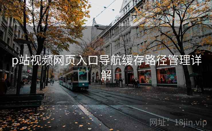 p站视频网页入口导航缓存路径管理详解