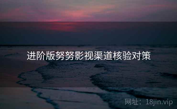 进阶版努努影视渠道核验对策