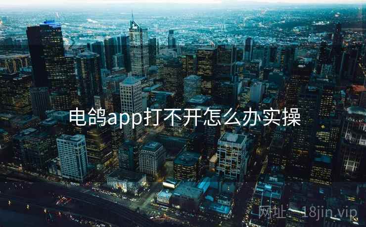 电鸽app打不开怎么办实操